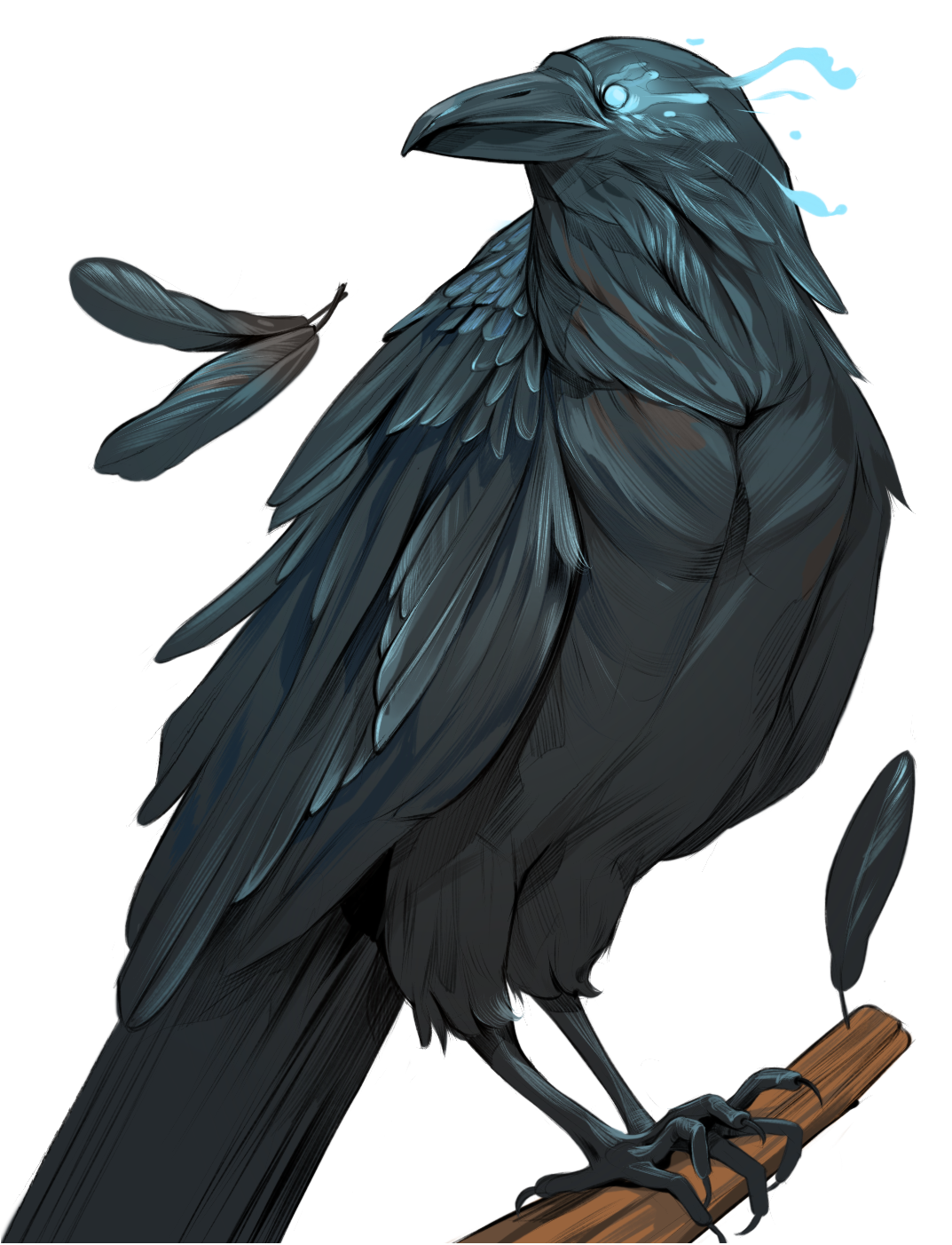 raven